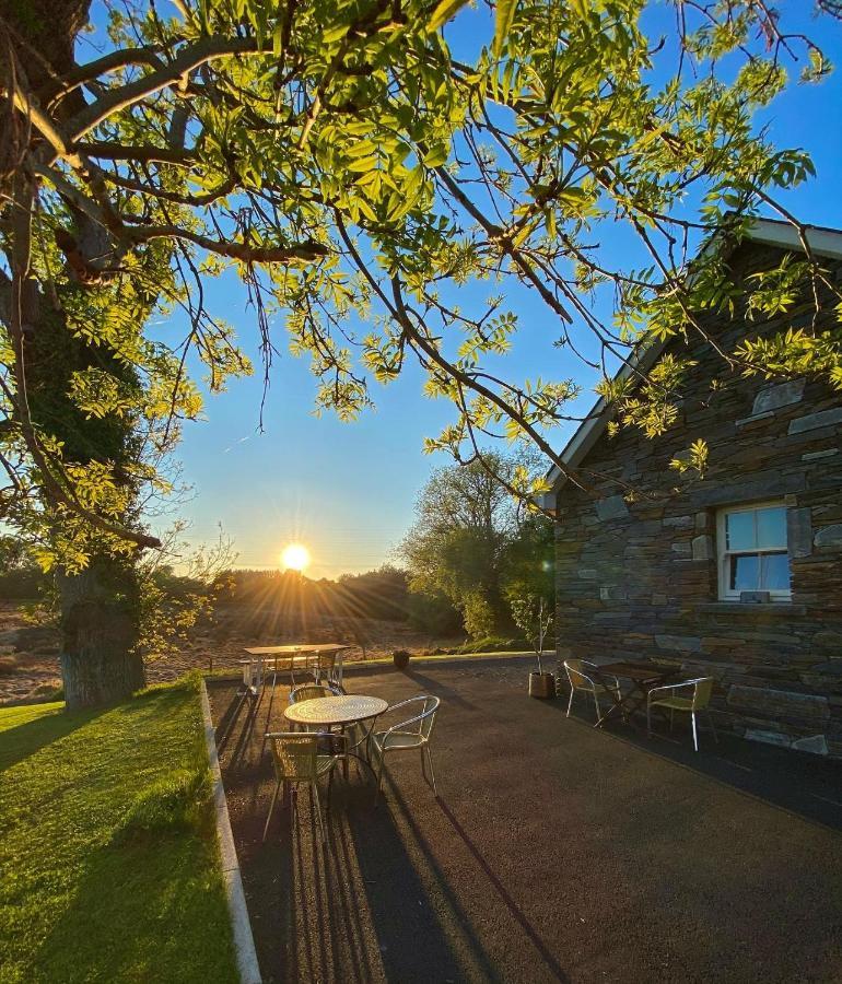 Bailey'S Court, Guest Accommodation พอร์ตาดาวน์ ภายนอก รูปภาพ